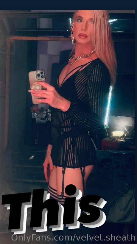 Velvet Sheath nice star archive