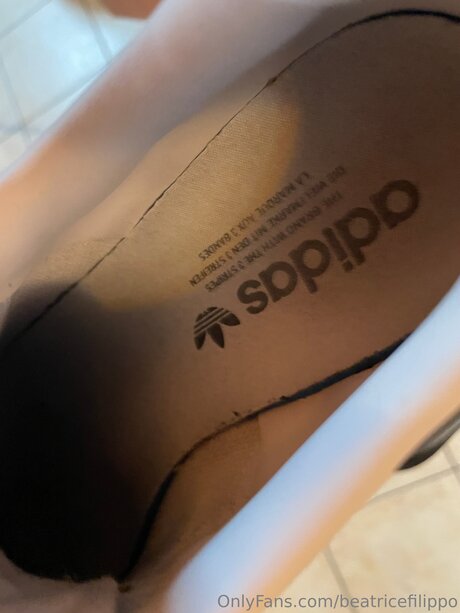 Beatricefilippo star adult gallery