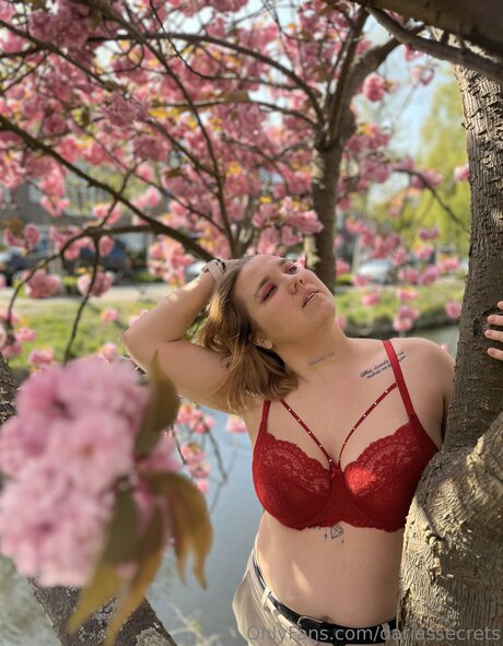 Dariassecrets star beautiful pictures