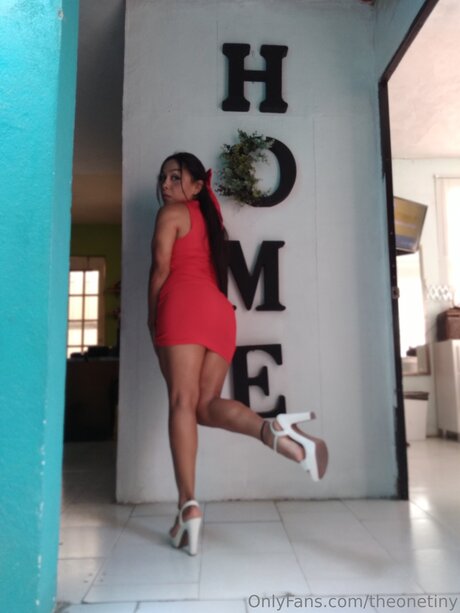 Theonetiny model top pic