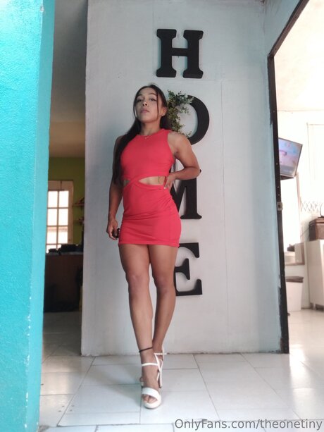 Theonetiny free pornstar pic