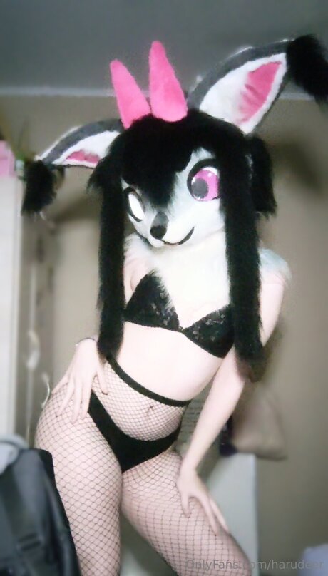 Hotharuad top pornstar galleries