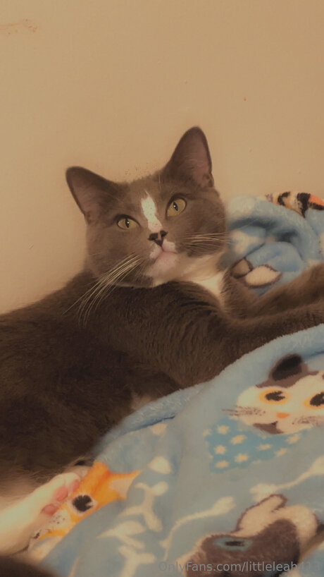 Littleleah413 model art image