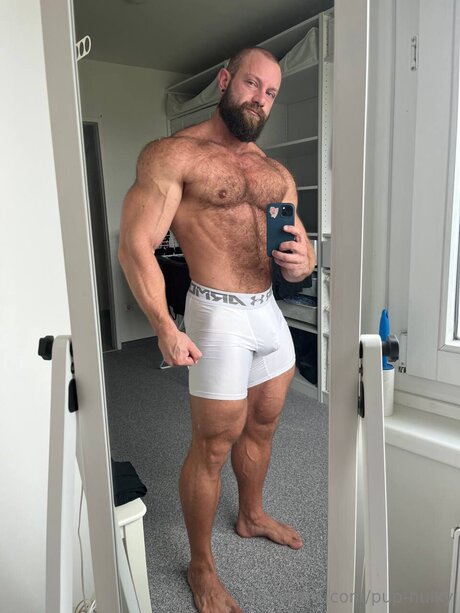 Pup Hulky star art galleries