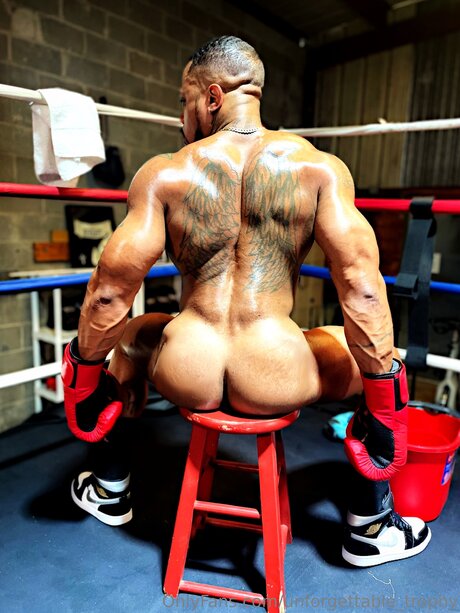 Unforgettable Trophy top pornstar gallery