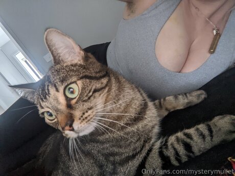 Mysterymullet adult star photos