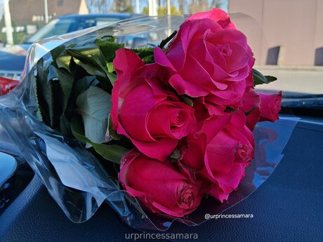 Urprincessamara hd model images