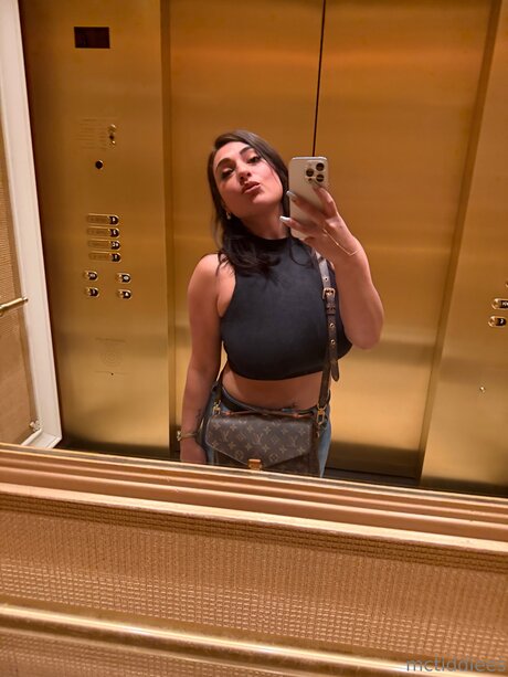 Mctiddiees high quality star galleries