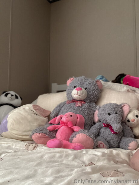 Nylanattirri nice star pictures