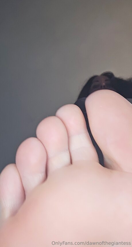 Dawnofthegiantess perfect star archive