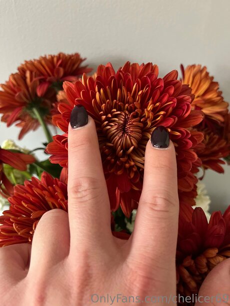 Chelicer69 model best images