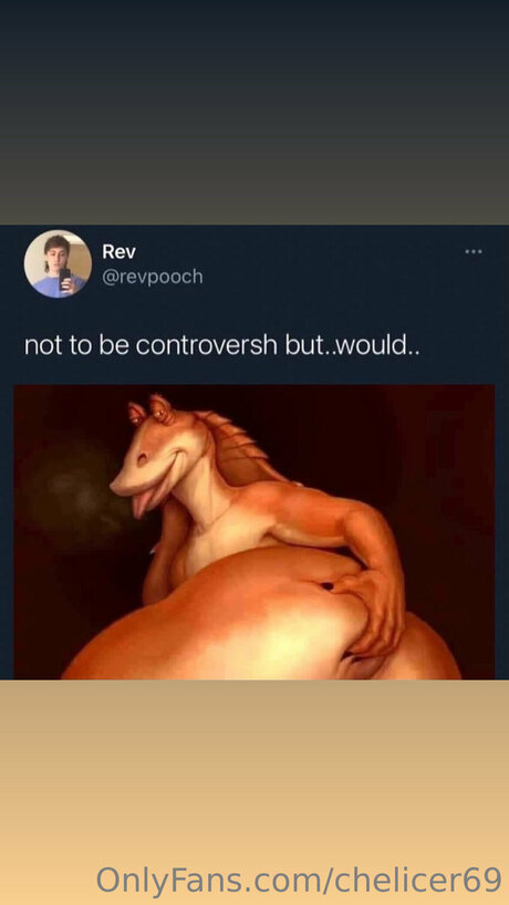 Chelicer69 model hd gallery