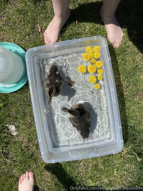 Xsluttycupcakex6669x nude model image