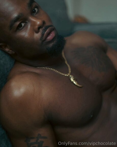 Vipchocolate star perfect image