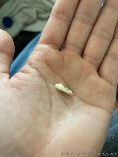 Tkhoneybun star nudes photo