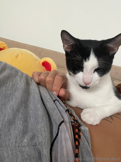 Tkhoneybun nice model pictures