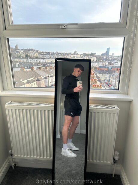 Secrettwunk model high quality image