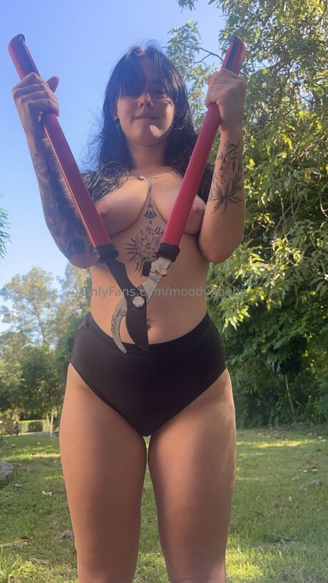 Moodyxbebe erotic pornstar galleries