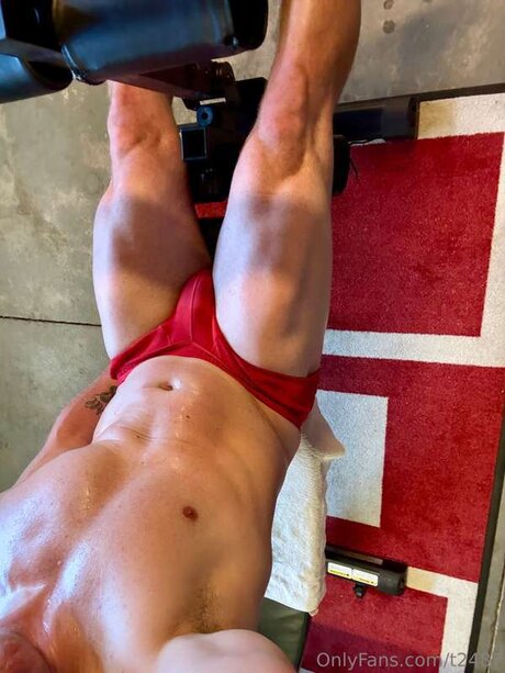 T2487 pornographic model img