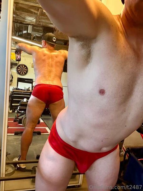 T2487 model art picture