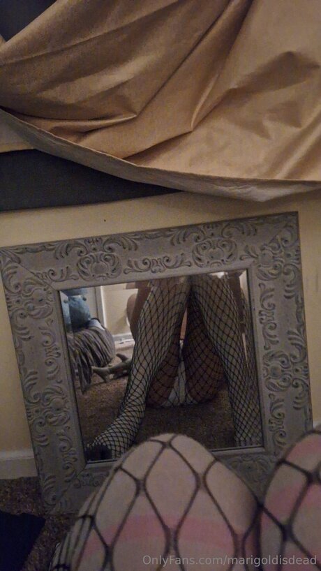 Marigoldisdead hd pornstar archive