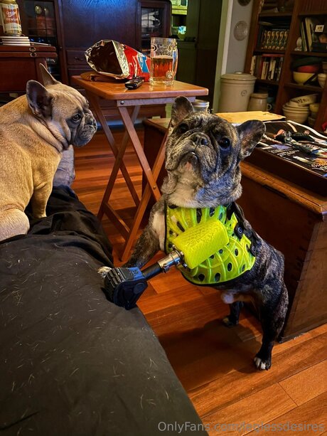 Leglessdesires art actress pics