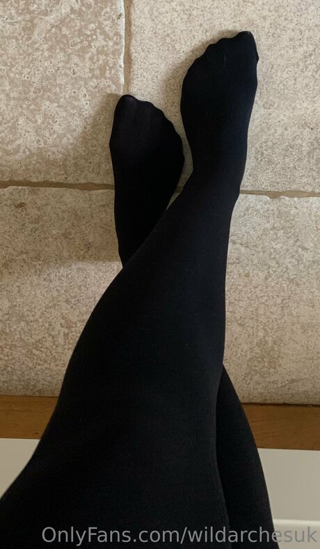 Wildarchesuk art star archive