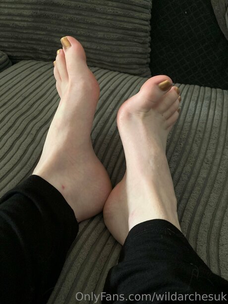 Wildarchesuk star top picture