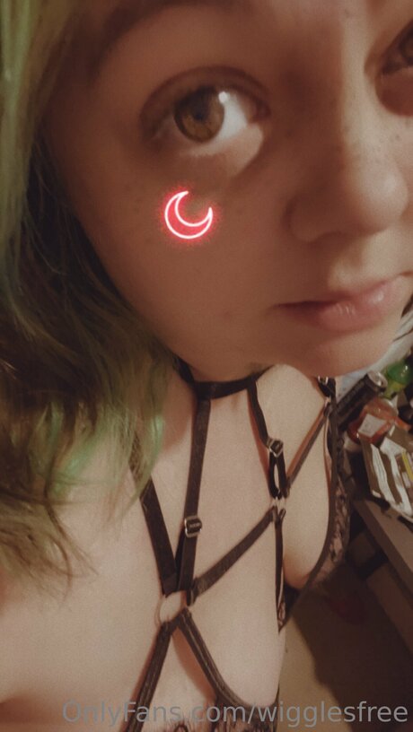 Wigglesfree model galleries