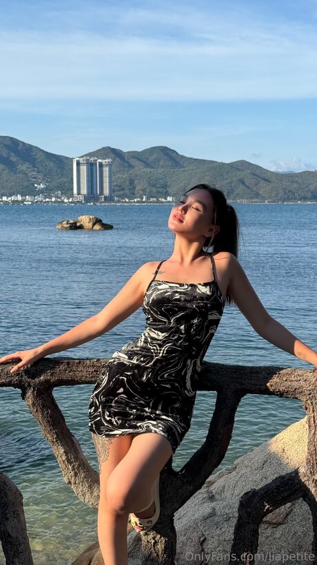 Liapetite model free gallery