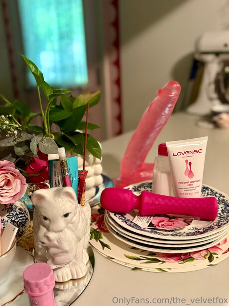 The Velvetfox naked pornstar galleries