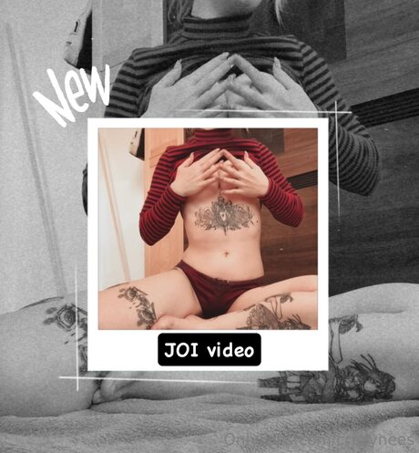 Crazynees star free pic