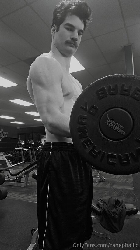 Zanephallic pornstar high quality photo