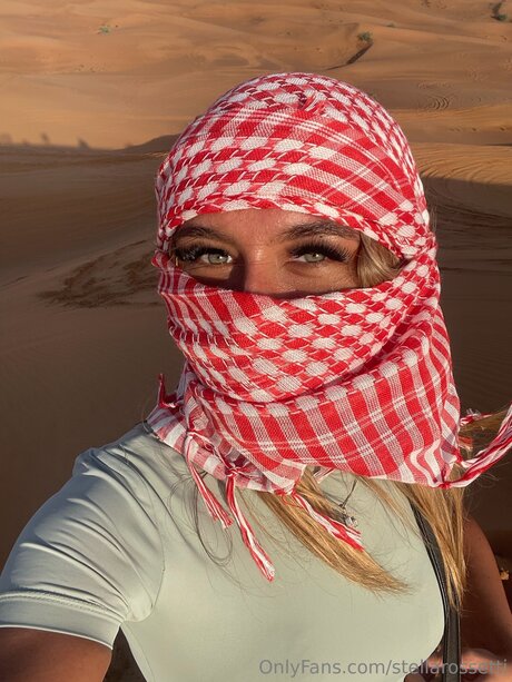 Stellarossetti star adult image