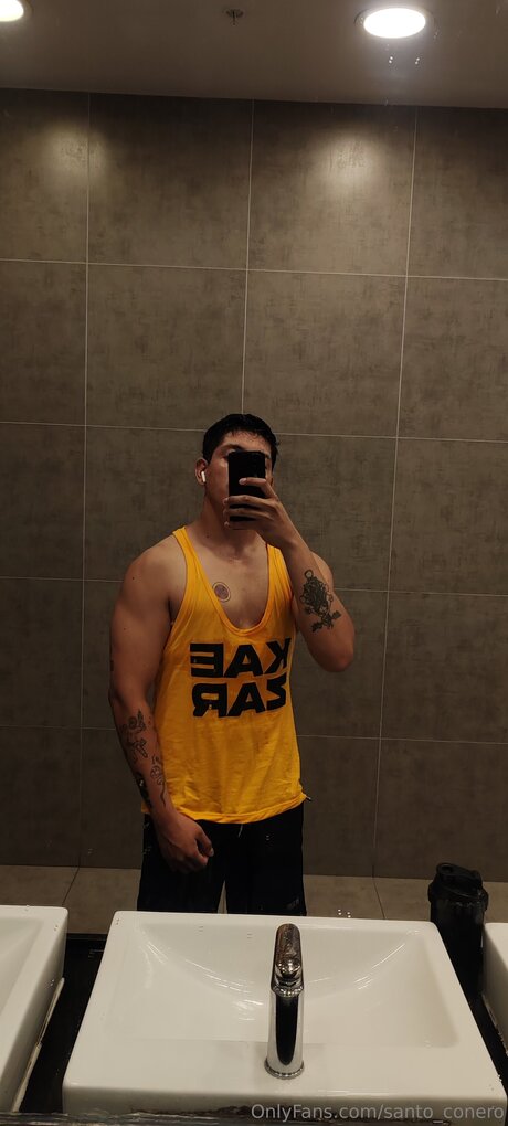 Santoxpe art star pic