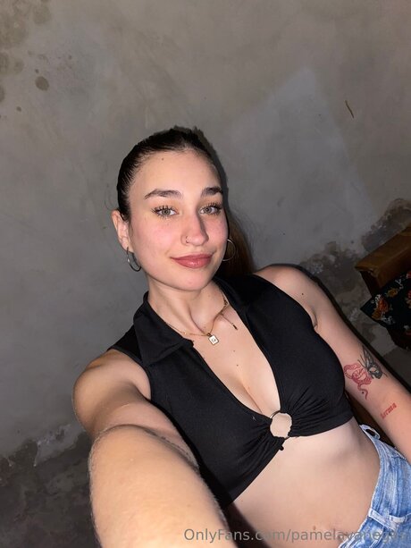 Pamelavanegas pornstar hot archive