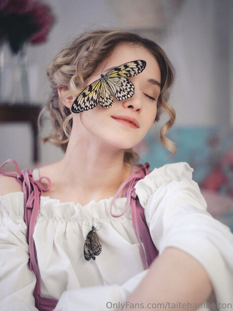 Taitehambelton model art image