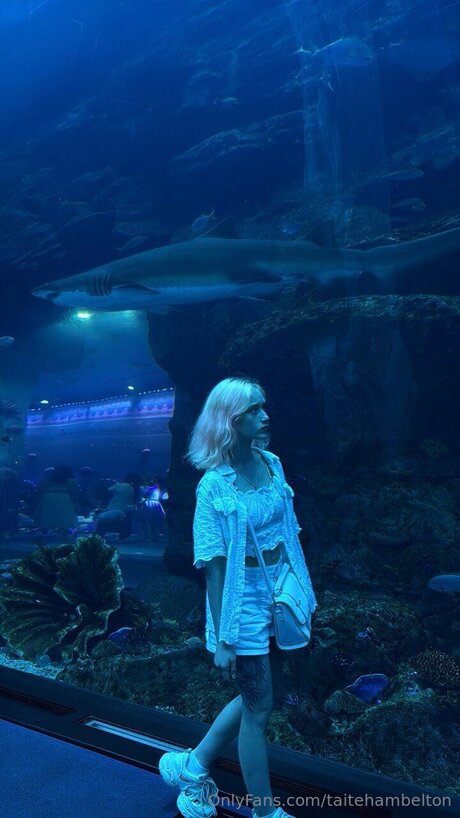 Taitehambelton star nude photo