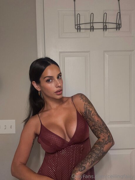 Ceilingfairy nude pornstar archive