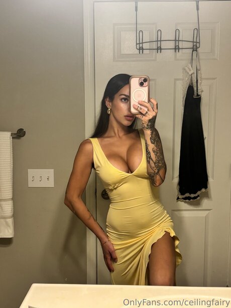 Ceilingfairy model top pics