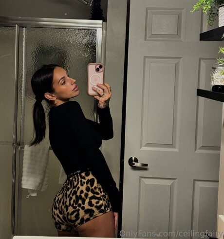 Ceilingfairy star photo