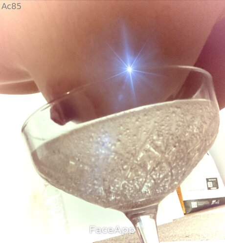 Pollypockethasfun model high quality pic