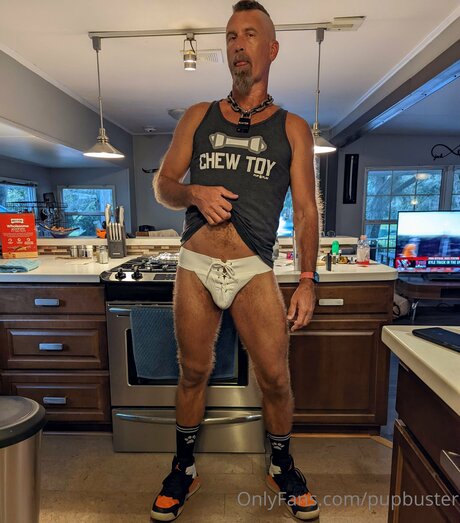 Pupbuster high quality star galleries