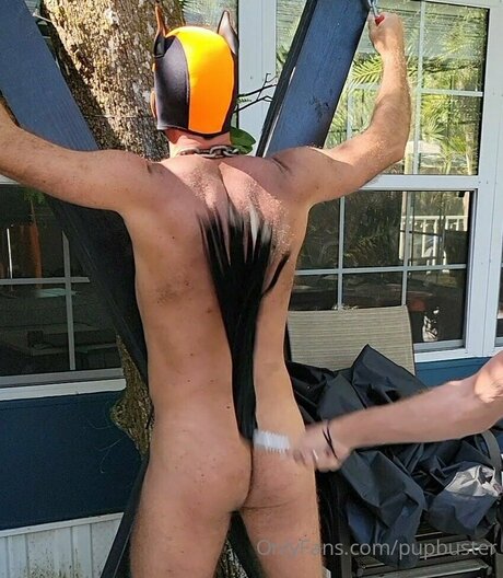 Pupbuster pornstar nice pics