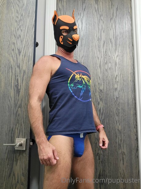 Pupbuster model top image