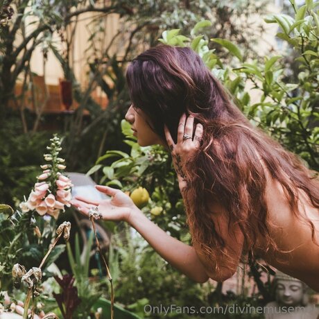 Divinemusemel adult star photos