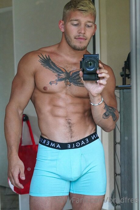 Bradfree pornstar free photo