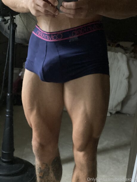 Bradfree star perfect picture