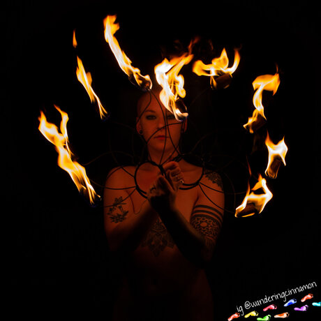 Wanderingcinnamon perfect star gallery