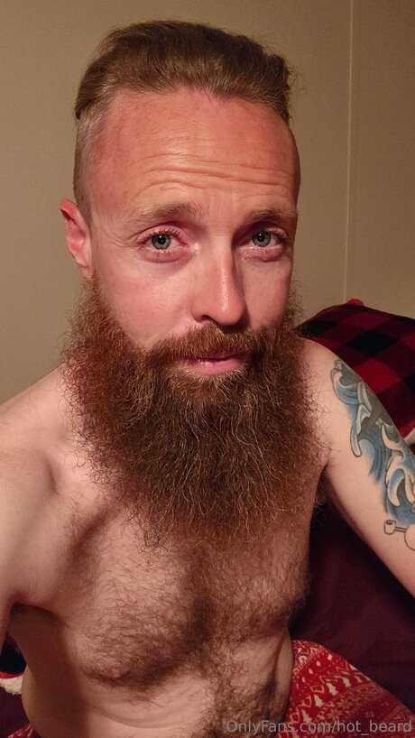 Hot Beard top star pic